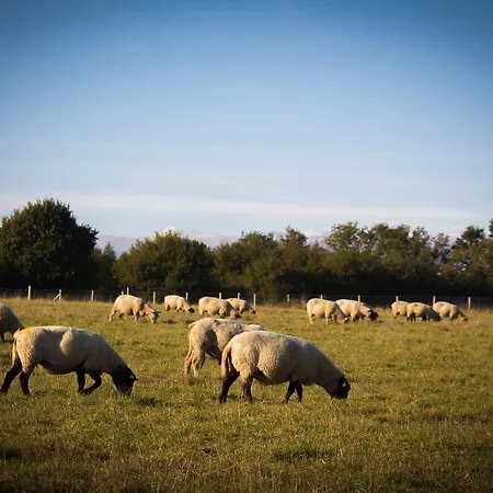 La Ferme Du Vincin Frühstückspension