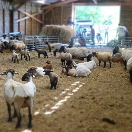 La Ferme Du Vincin Vannes